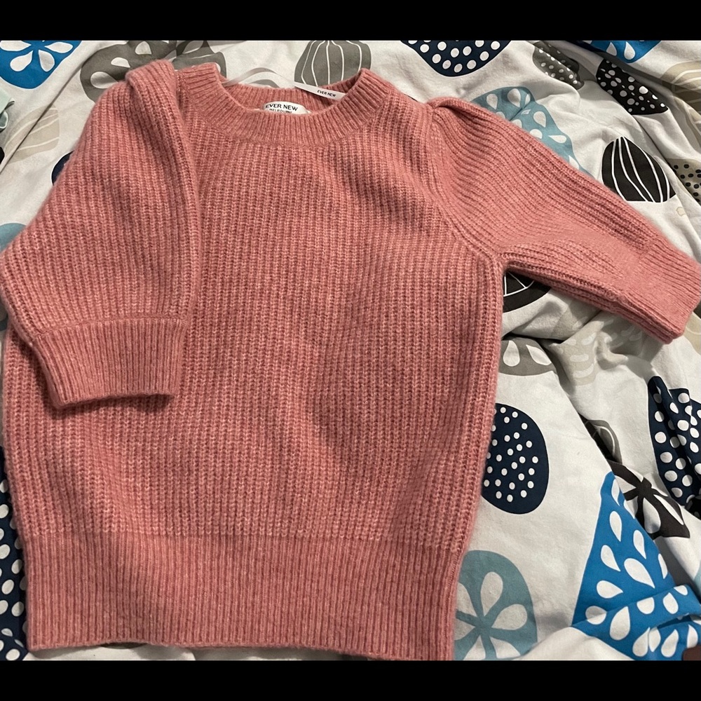 Ever new sweater